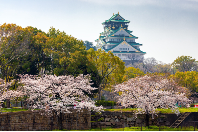 Southern Japan Cruise with Holland America